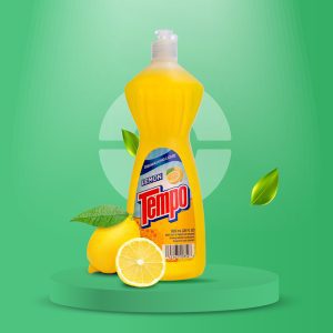 TEMPO Dishwashing