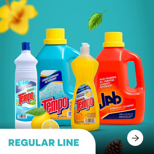 best house cleaning products​