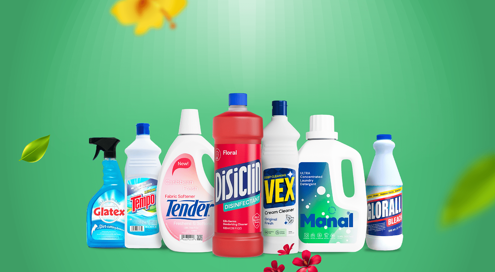 home cleaning solution