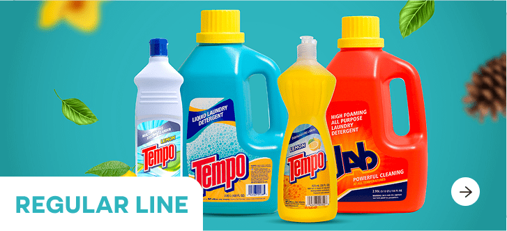 home cleaning