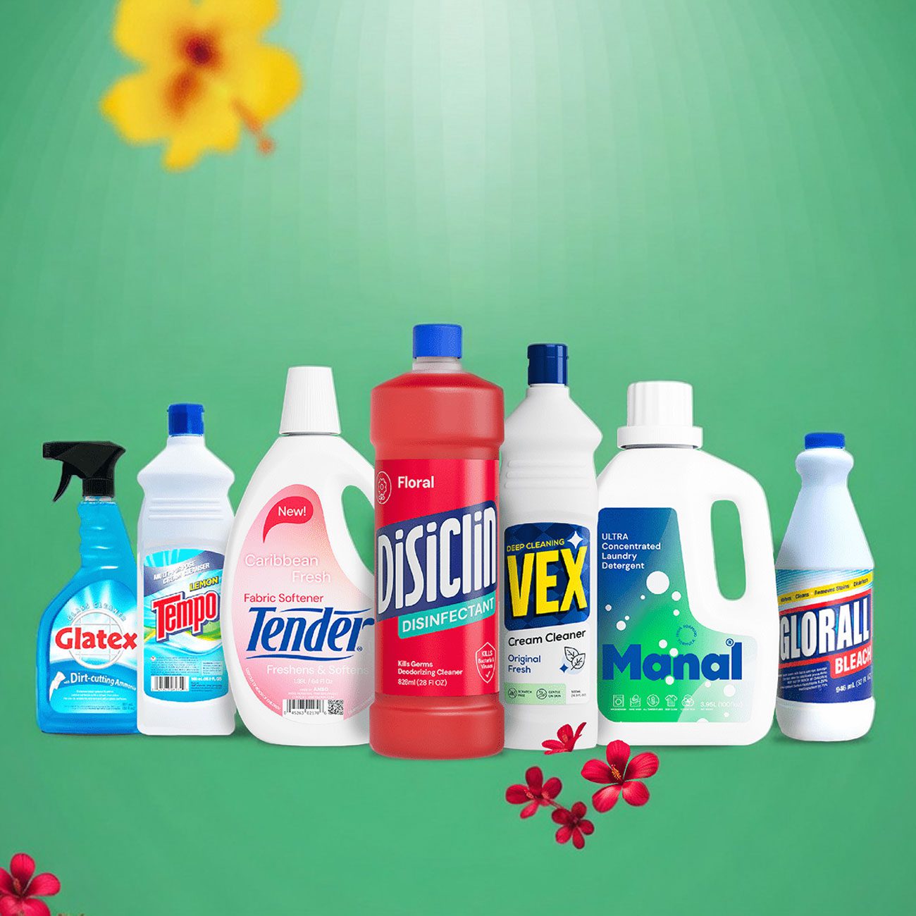 home cleaning solution